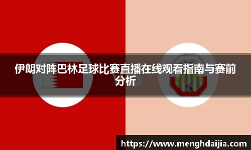 B体育